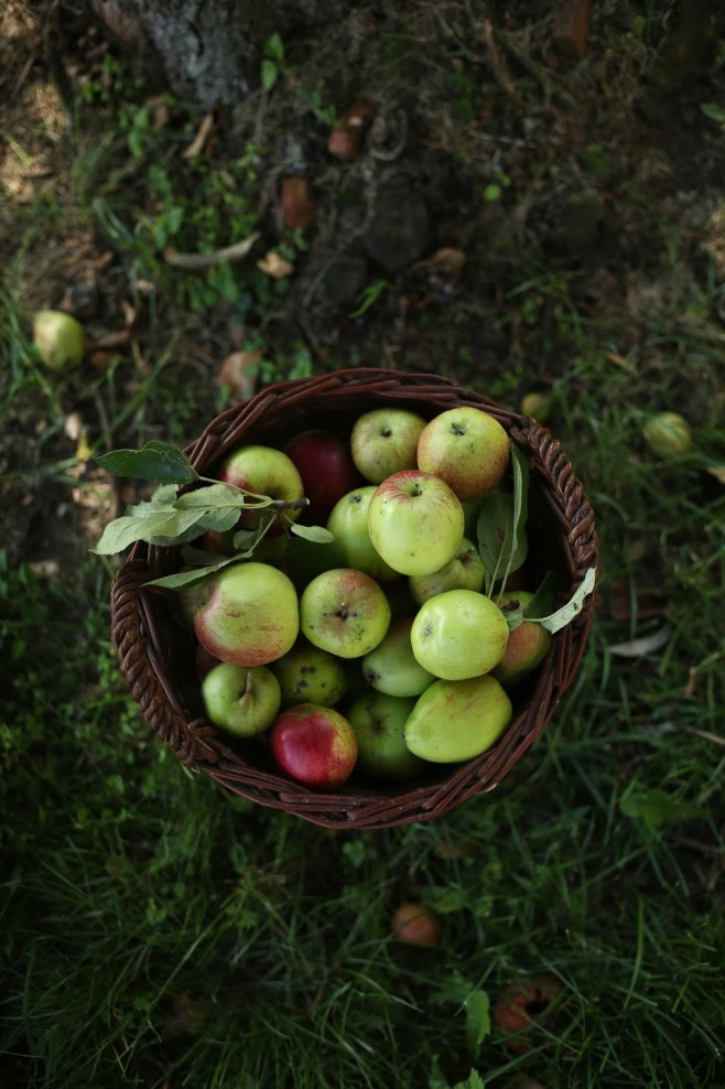 applepie03