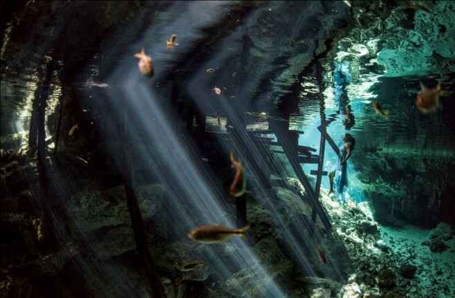 maca-cenotes-2014-709-comperss
