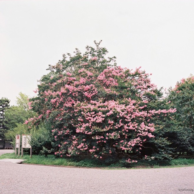011-1