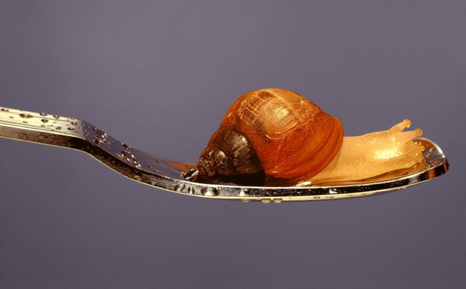 nothing_life_object1