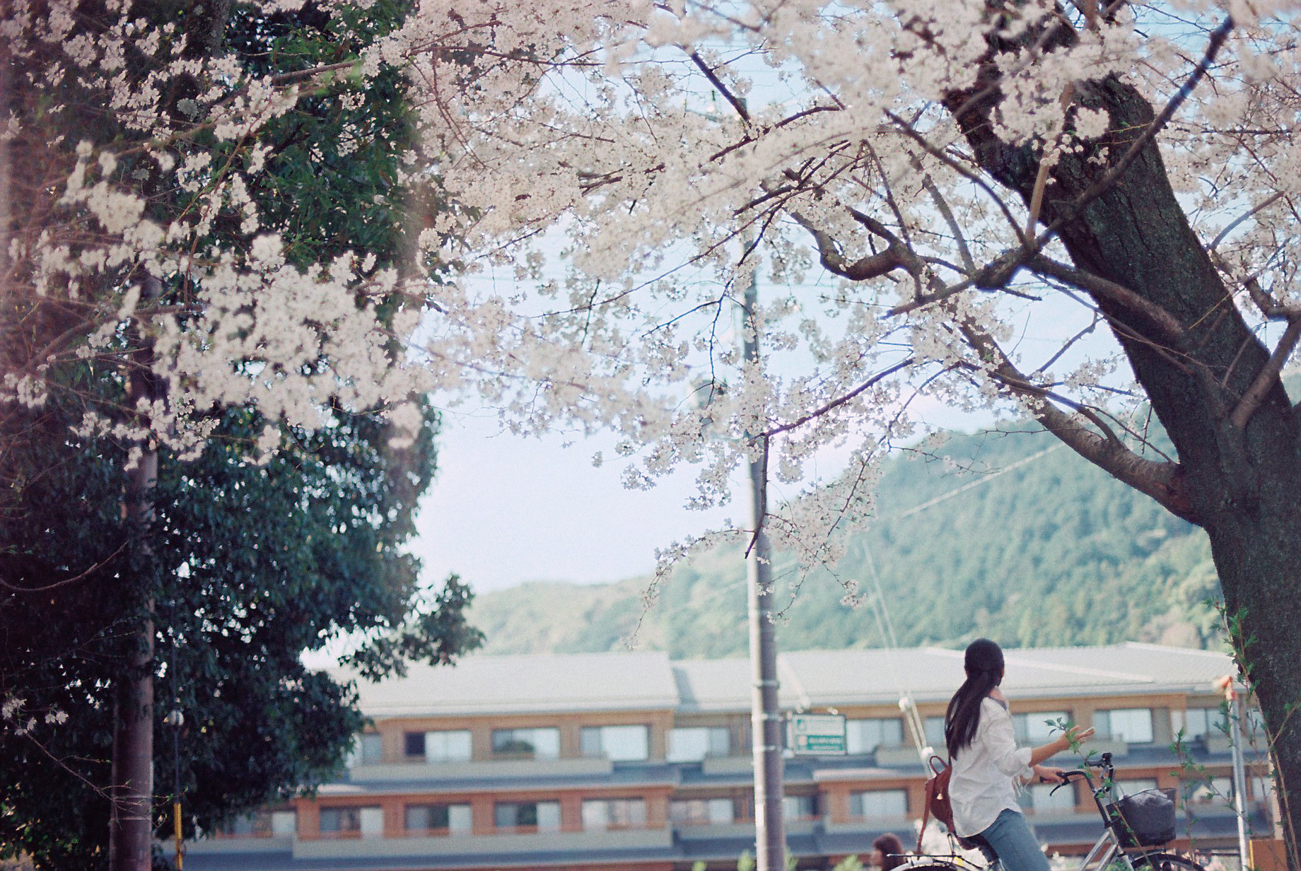 嵐山一隅