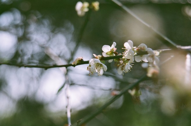 Hana07