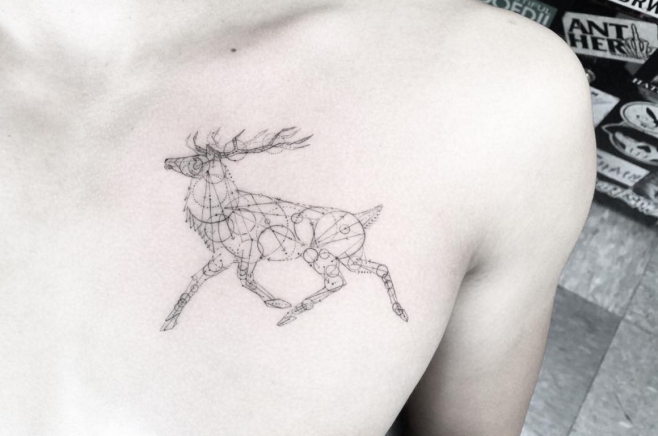 deer