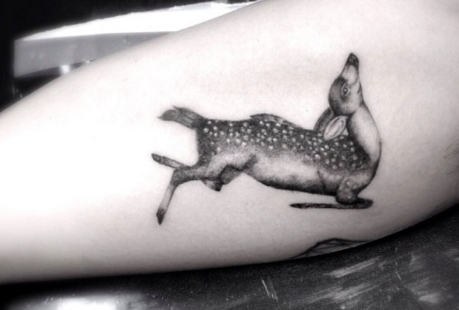 deer3