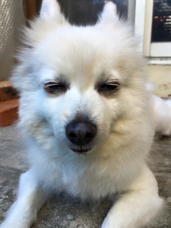 從父姓的鈴木爽多