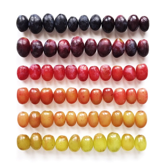 10843840_1743913782499467_1256413280_n