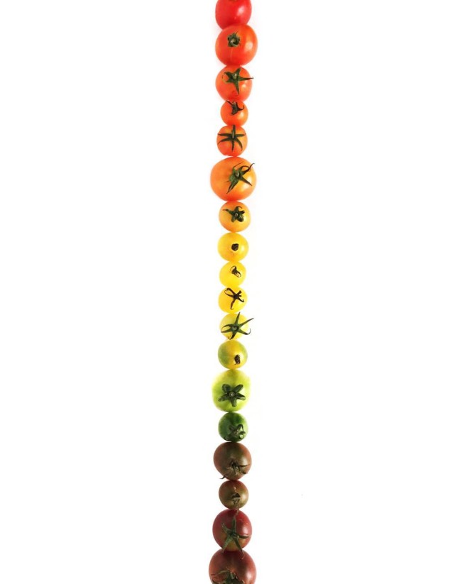 11910367_1639404752996879_1874067180_n