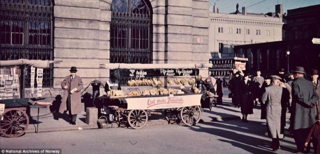 201211306