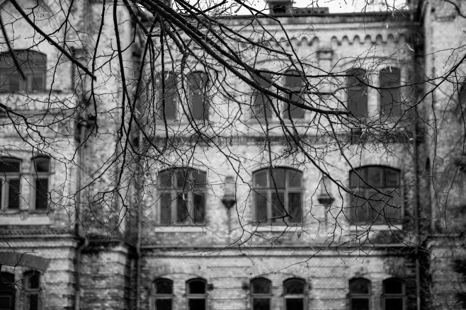 ALE_6796