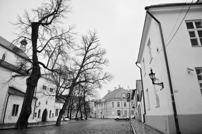 ALE_7135