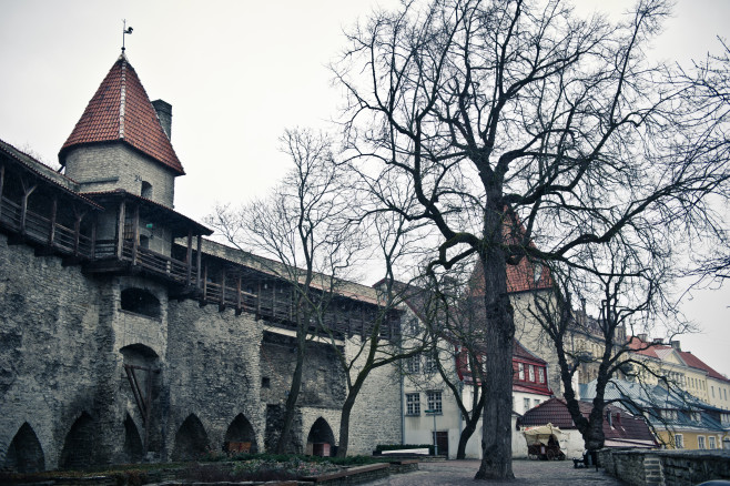 ALE_7163