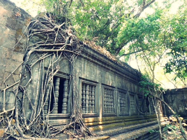 DSCN1190-1