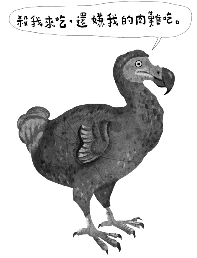 渡渡鳥,Dodo這名稱原自萄葡牙語,意指愚笨,中文又名愚鳩。牠們被殺光吃淨,還被嫌肉質不美味