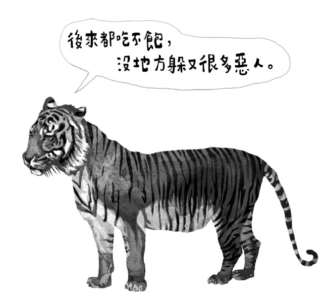 javan tiger