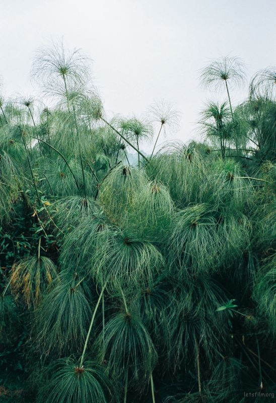 nuwara-eliya