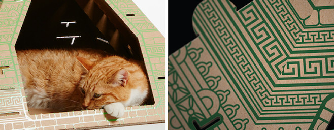 poopycat13