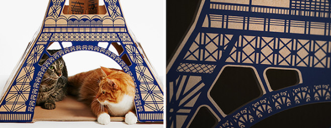 poopycat14