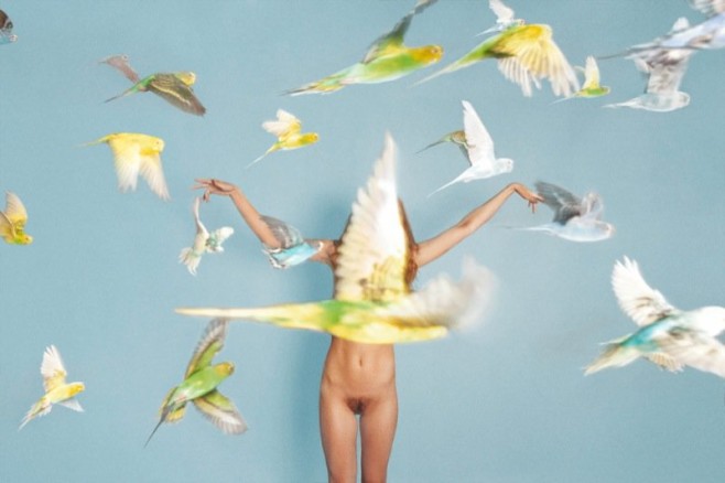 ryan-mcginley-25519_1