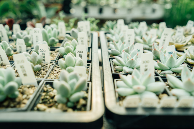 26472666695_4b39654ed2_k