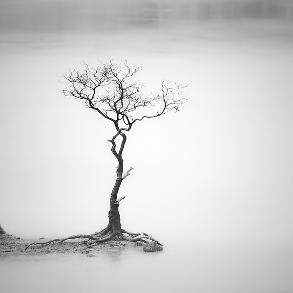 396669minimalism08