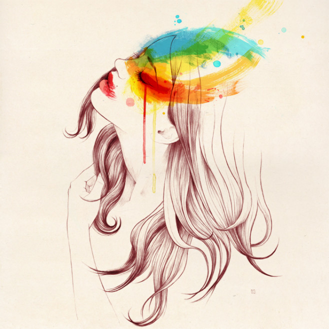 567 copia