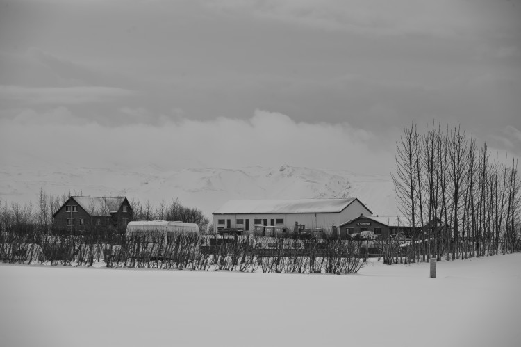 ALE_8112