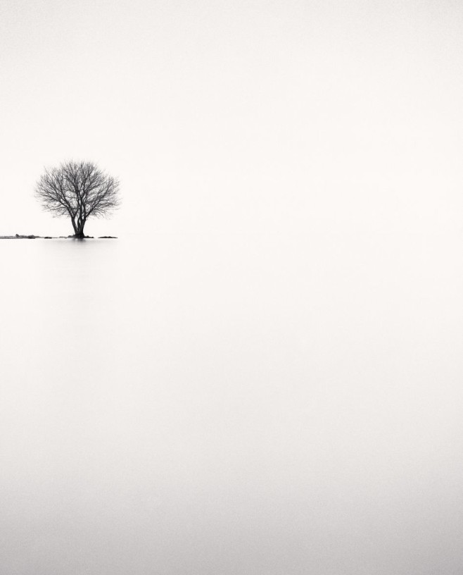 Biwa-Lake-Tree-Study-2-Omi-Honshu-Japan-20021-947x1175