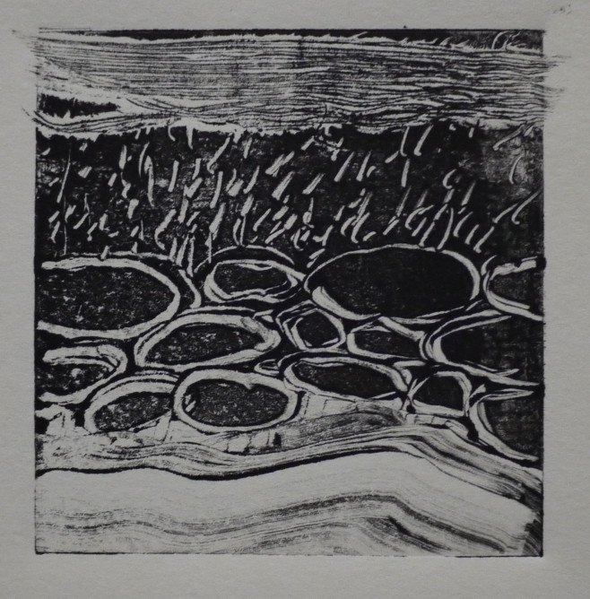 P1110581