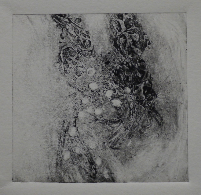 P1110582