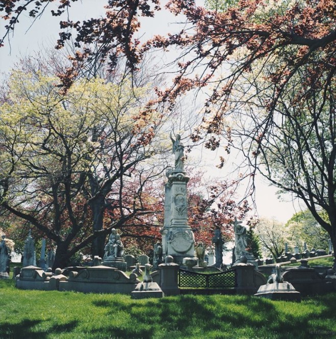 portra400_05rrs