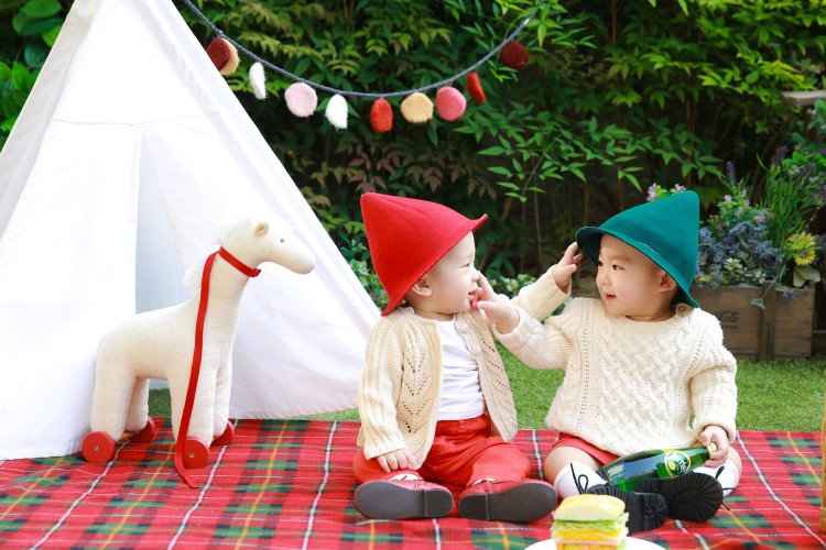 twins-775506_1920