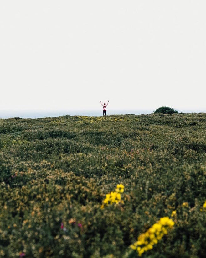 wallyfound1 (1)