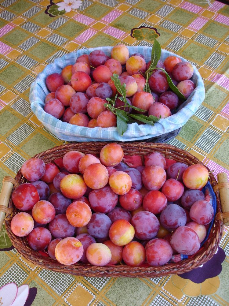 070623-aller a chez mme luong (57)