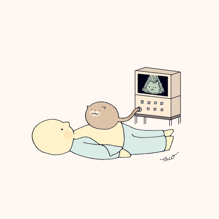 13398861_1547273938911667_814287445_n