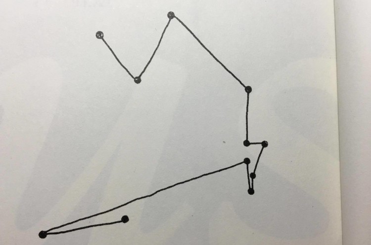 13499863_1161503153870928_522402052_o
