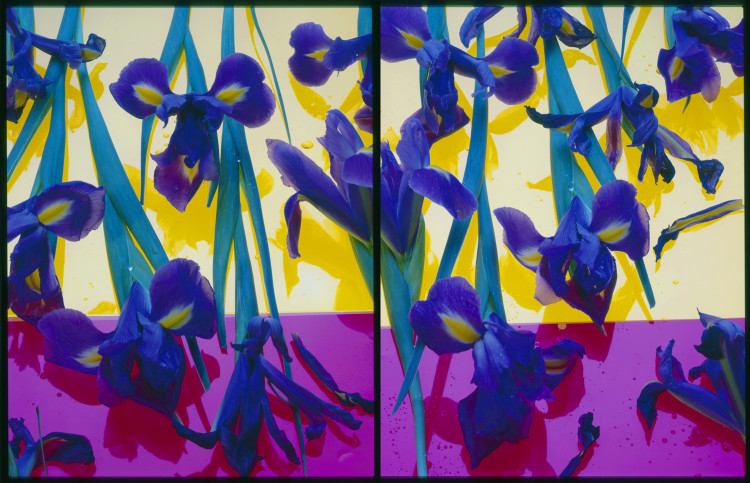 李小鏡｜第三色相–鳶尾蘭　噴墨輸出、58x90cm　1987　台北市立美術館提供