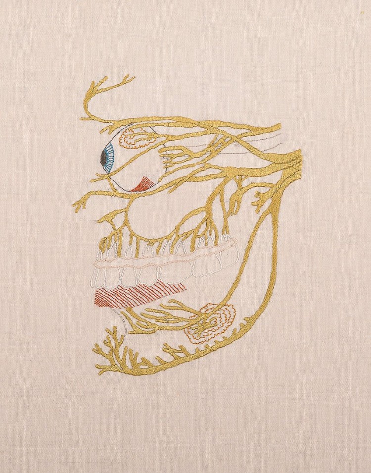 20150126a11