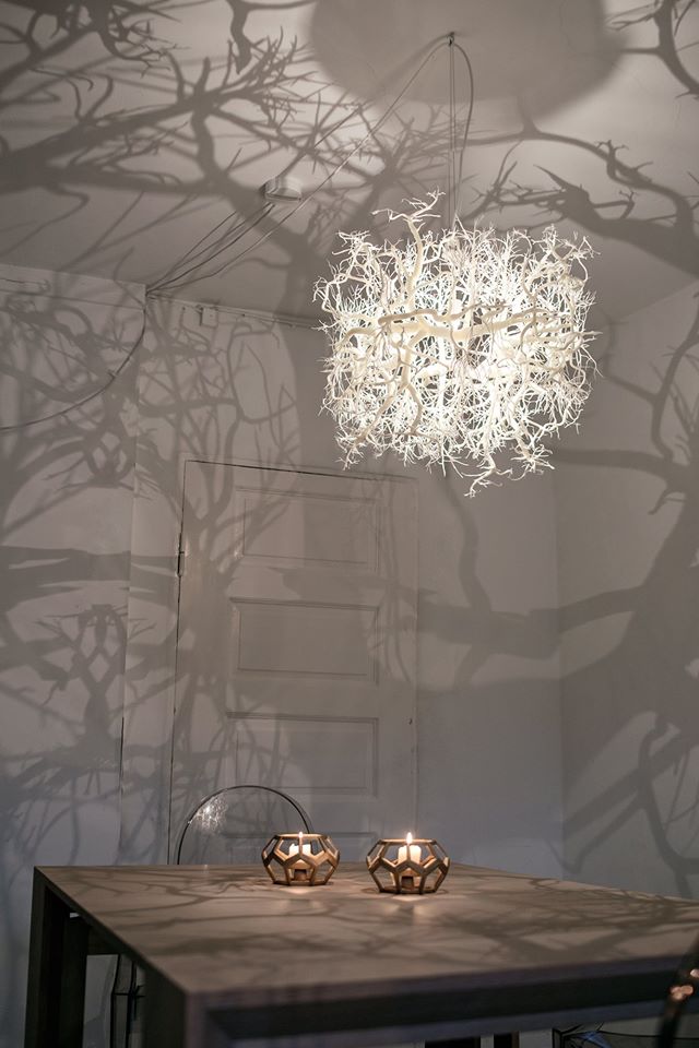 Forms in Nature in our studio in Copenhagen