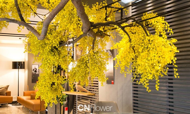 Oncidium 1