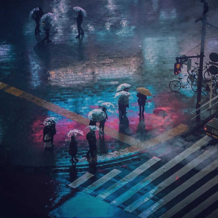 Shibuya Nights 渋谷区3