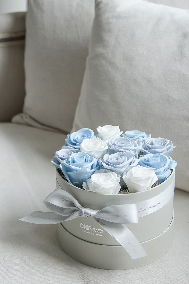 blue rose