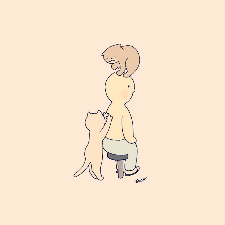 palpation