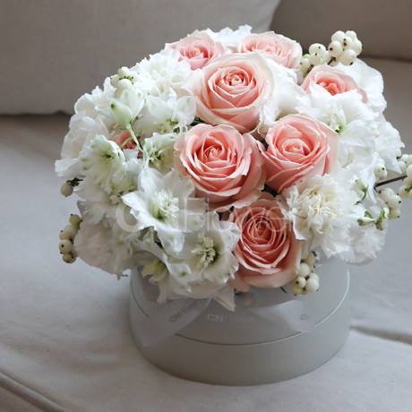 pink rose