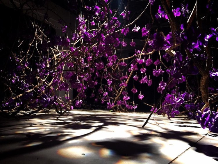 purple butterfly