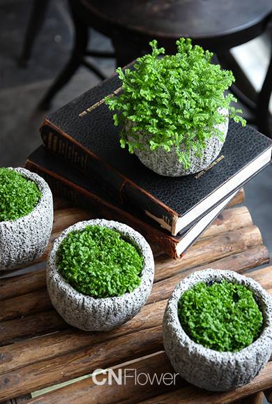 small green