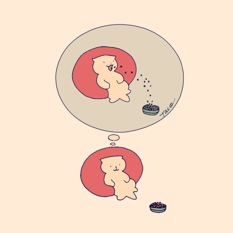 如果我有超能力