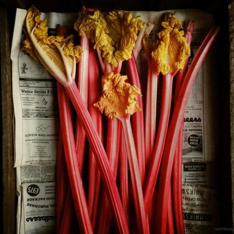 020-Andrew-Montgomery-Food-1st-950x950-1