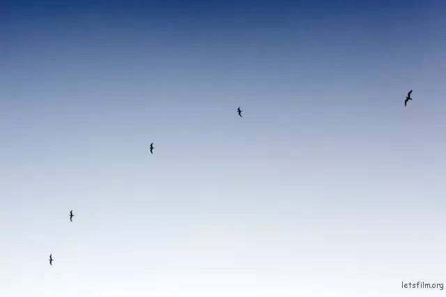 4a4ebb19d46c902f8479c03498fafa3c