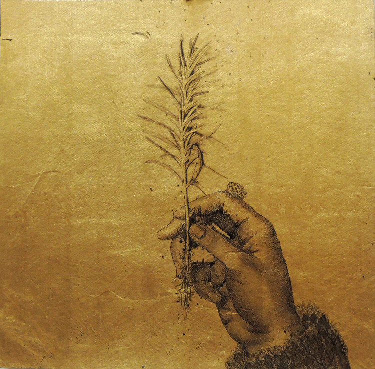 Botanist on the roof 12