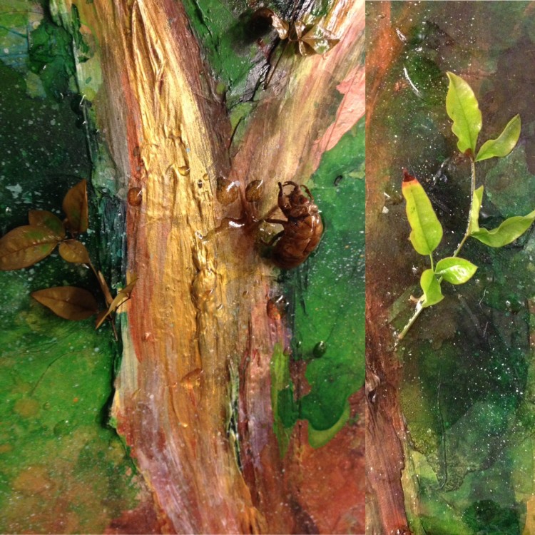 沁涼如水，蟬鳴繚繞......